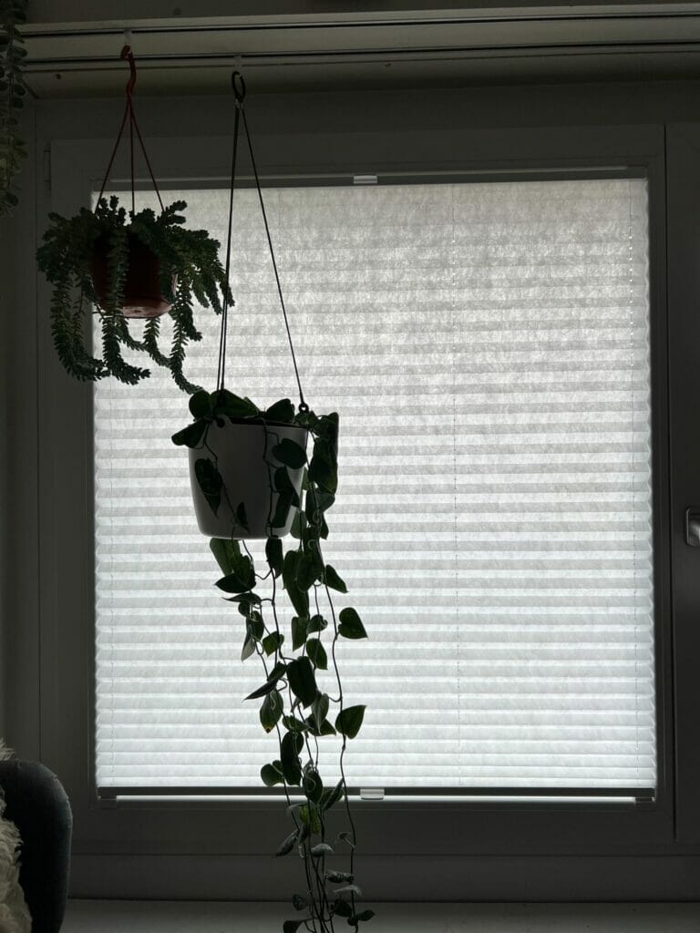 IMG_0700-scaled-1-768x1024