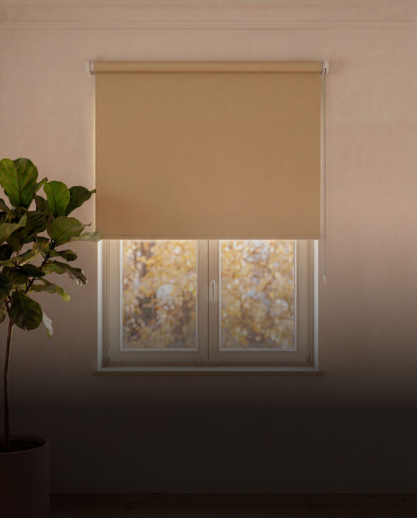 sundimmer-category-rolo_full-edited-600x745
